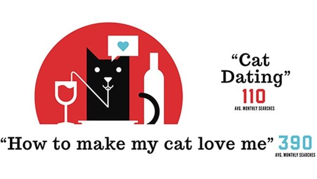 Cat Dating